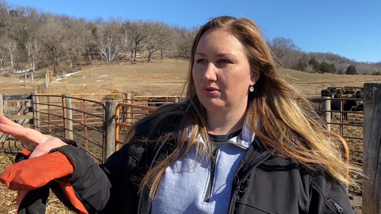 Farmers use Wisconsin-crafted ear muffs to protect calves from