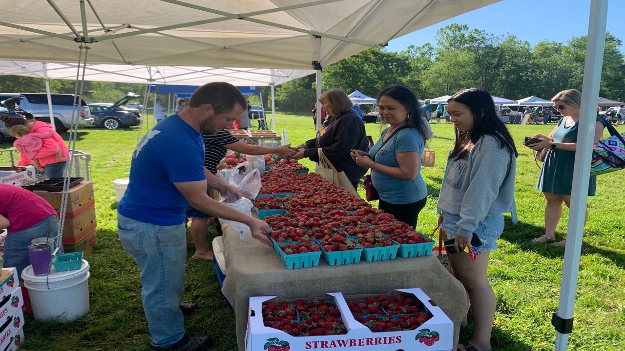 Howe Meadow farmers markets return Saturday, May 6