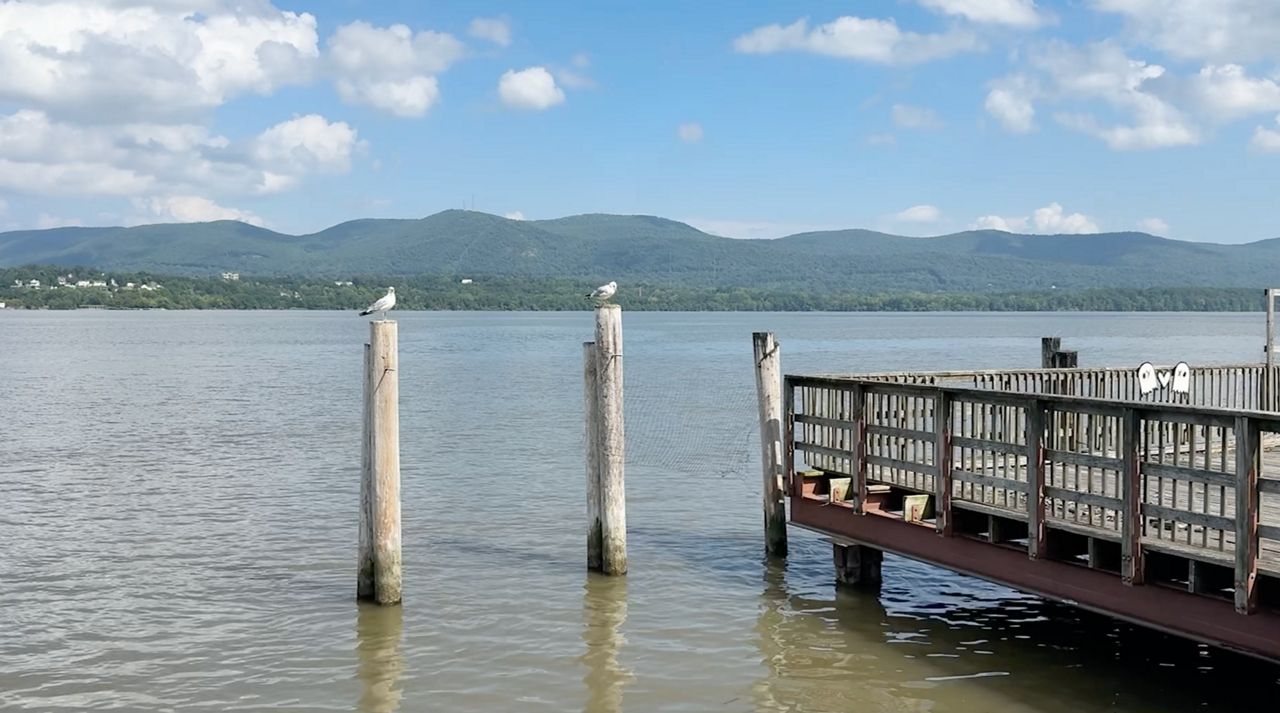 New report finds overlooked pollution in New York's waterways
