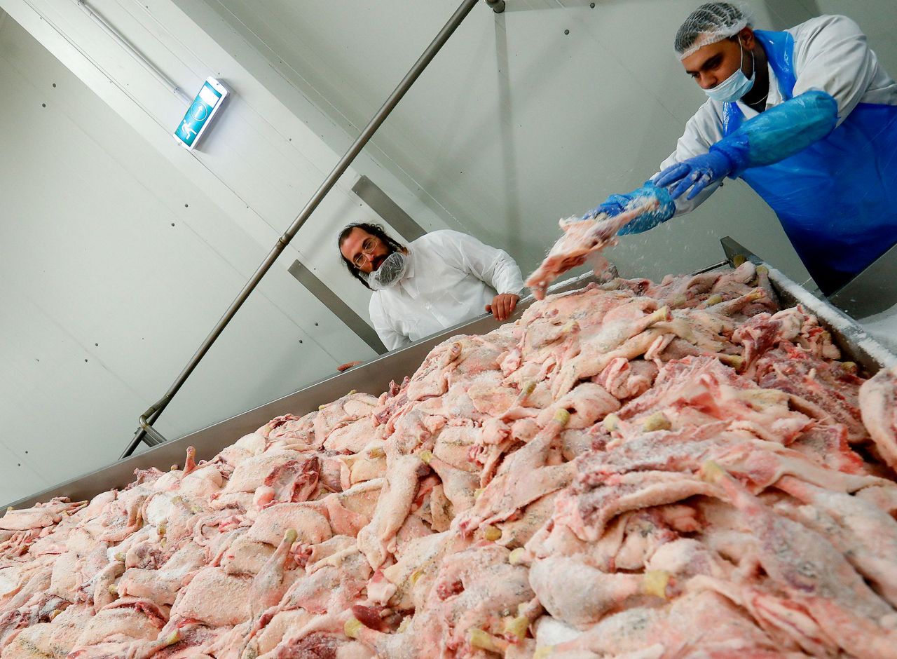 Ruling brings kosher slaughterhouse new business, old fears