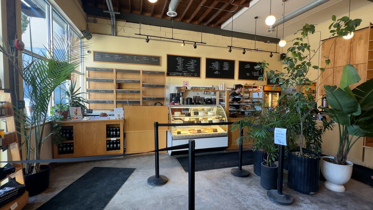 Businesses weigh closing during 'National Shutdown'