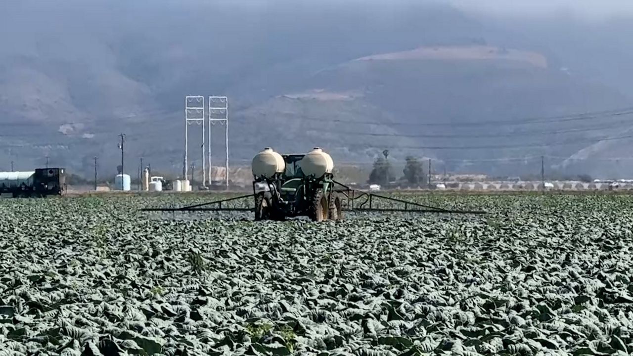 Farm owners say their employees are not showing up for work for fear of a visit by ICE.