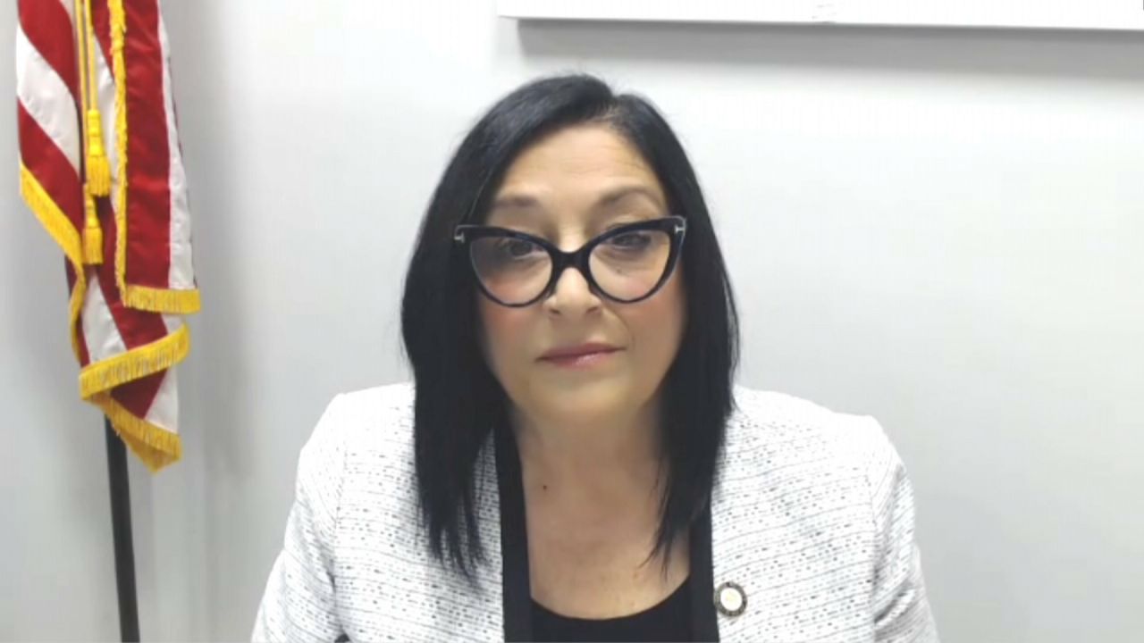 Republican City Councilmember Joann Ariola joined host Errol Louis Tuesday night on 