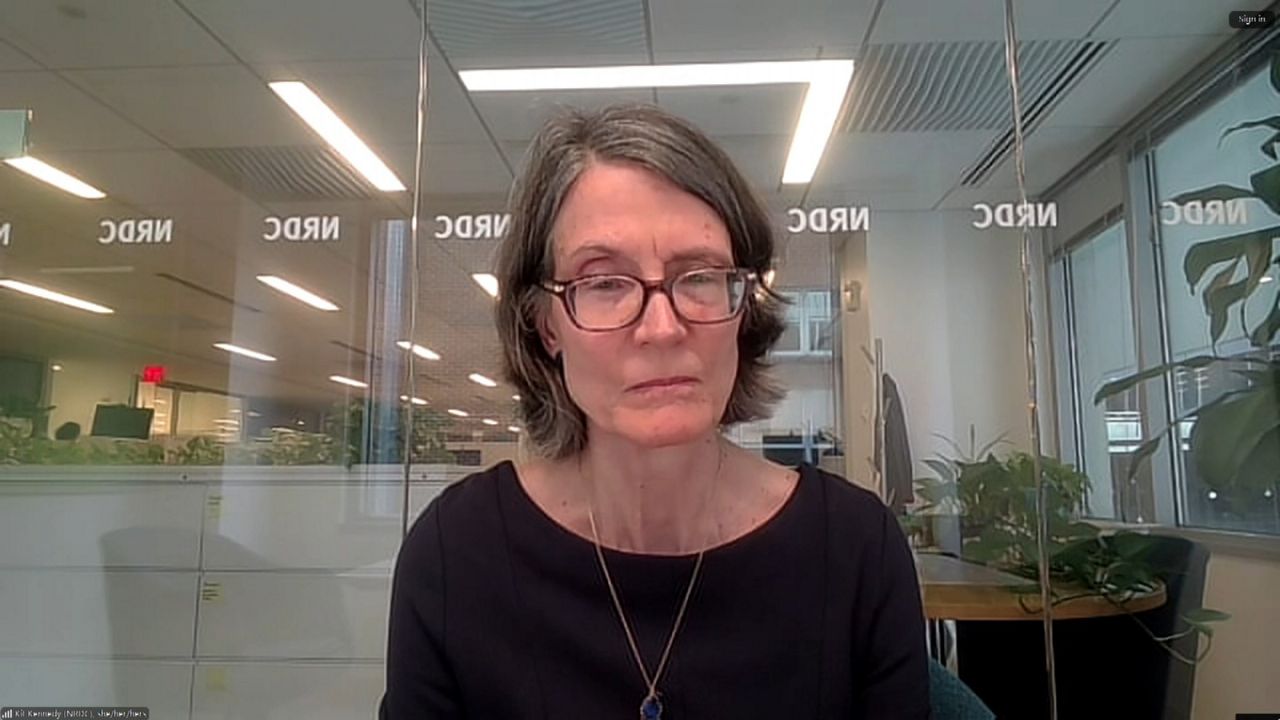 Kit Kennedy, a managing director of the Natural Resources Defense Council, joined 