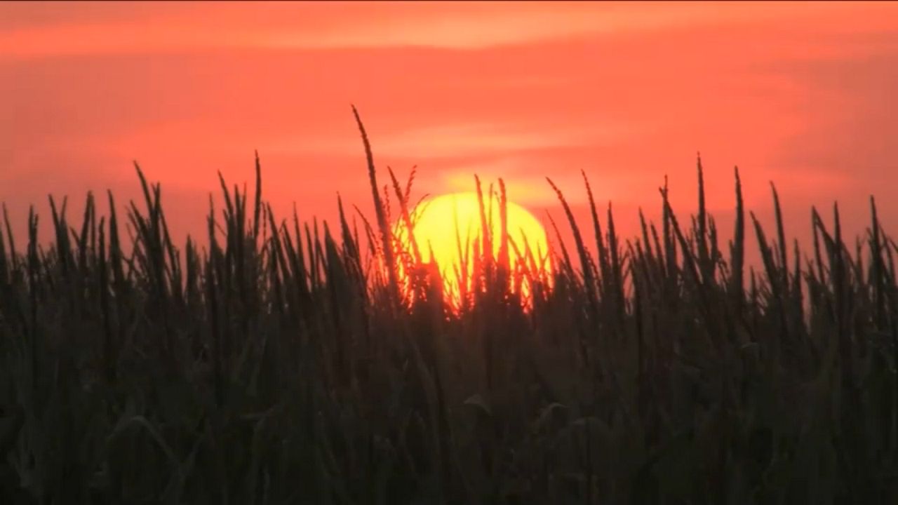 Record-Breaking Heat