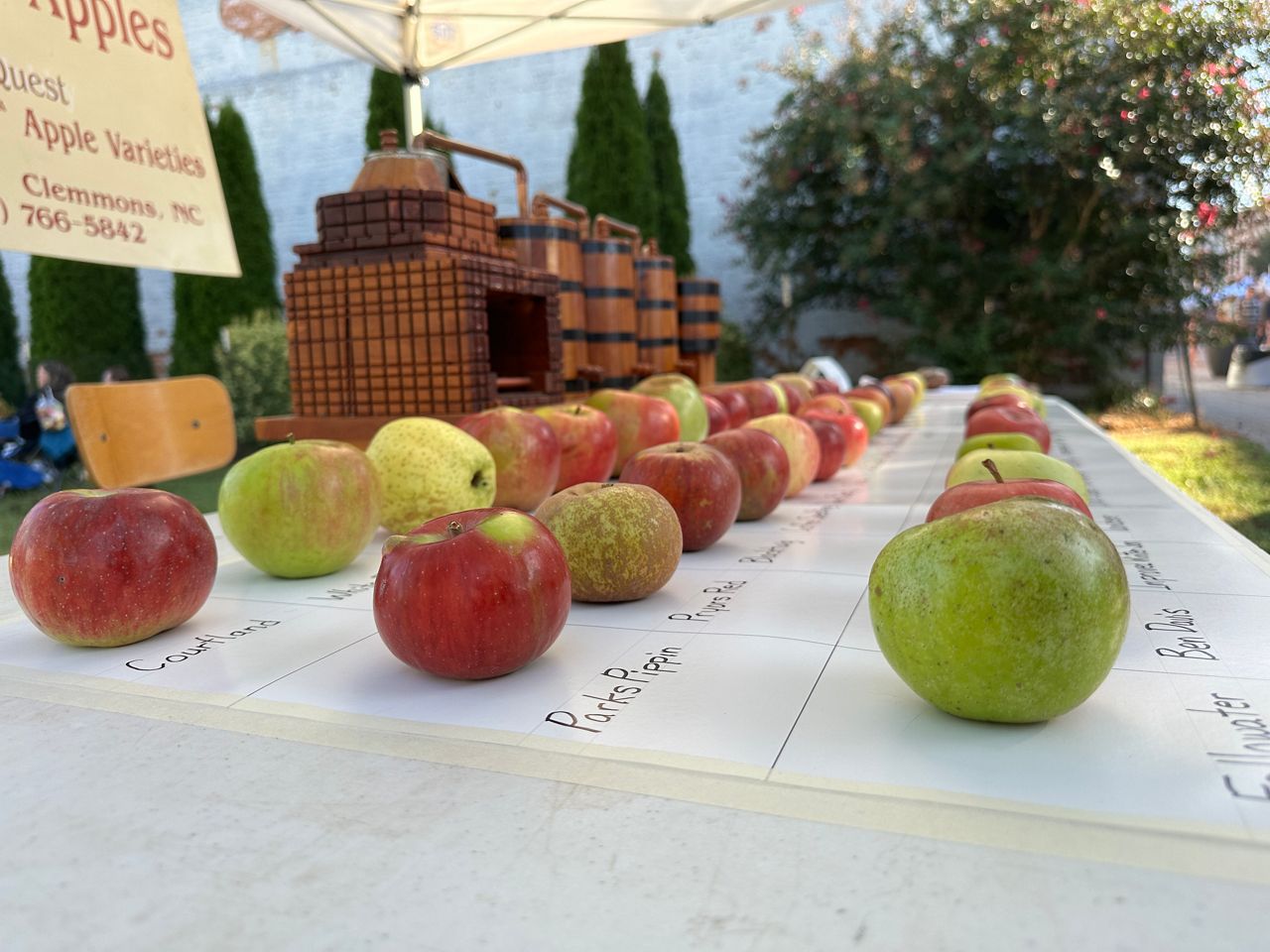 Heirloom apples are on display in Tom Brown's booth at the Brushy Mountain Apple Festival. (Spectrum News/Sydney McCoy)