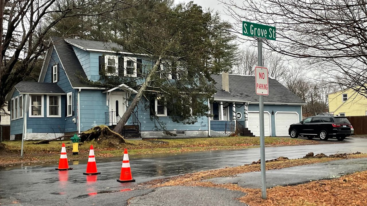 A tree came very close to hitting a house on South Grove Street in Augusta during Monday's storm. (Photo by Louise Harwood)