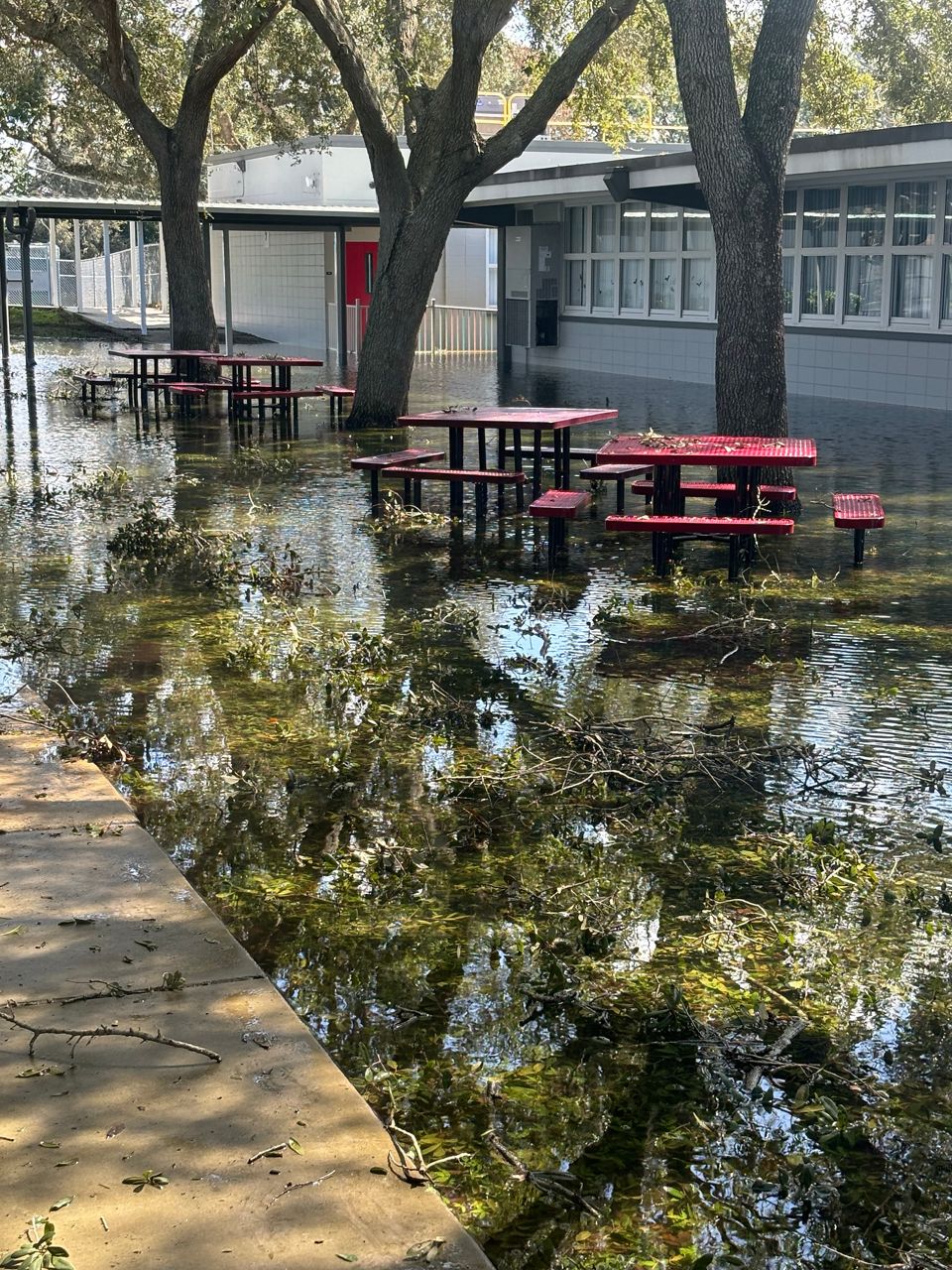 Tampa's Witter Elementary Restored After Hurricane Milton