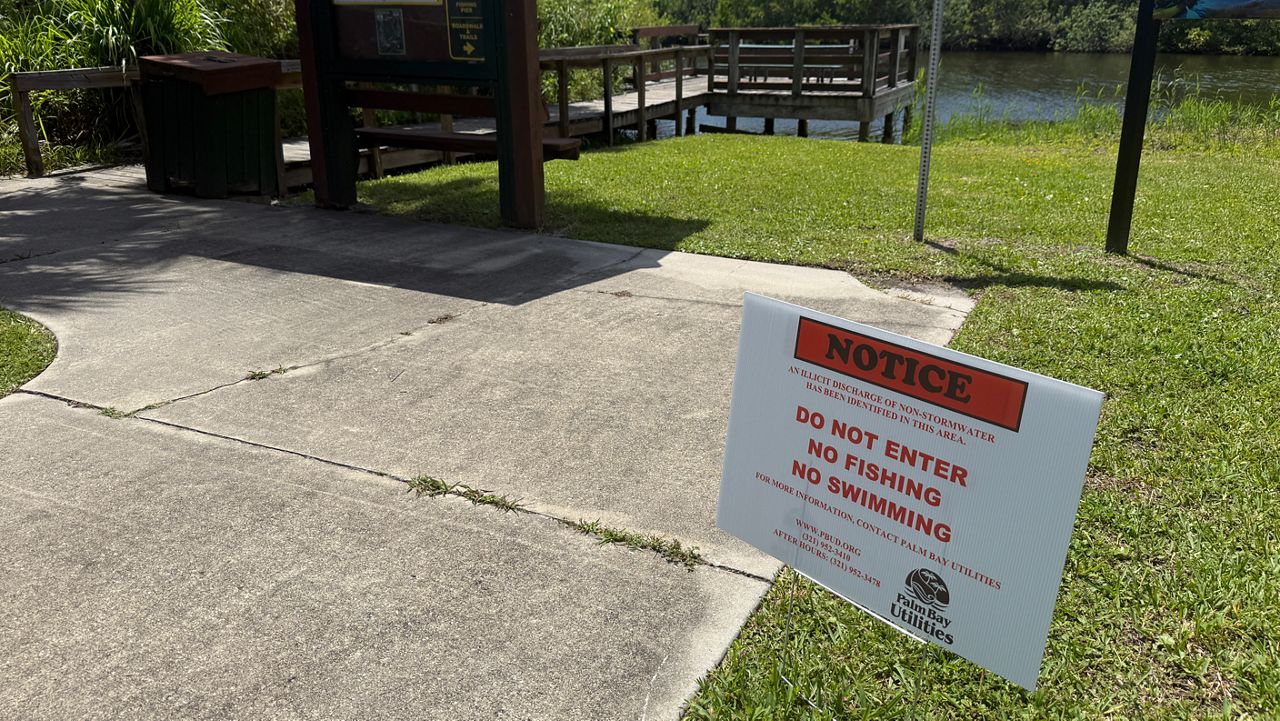 The city of Palm Bay is still awaiting test results on the major wastewater spill that flowed into the Indian River Lagoon earlier this week. (Spectrum News)