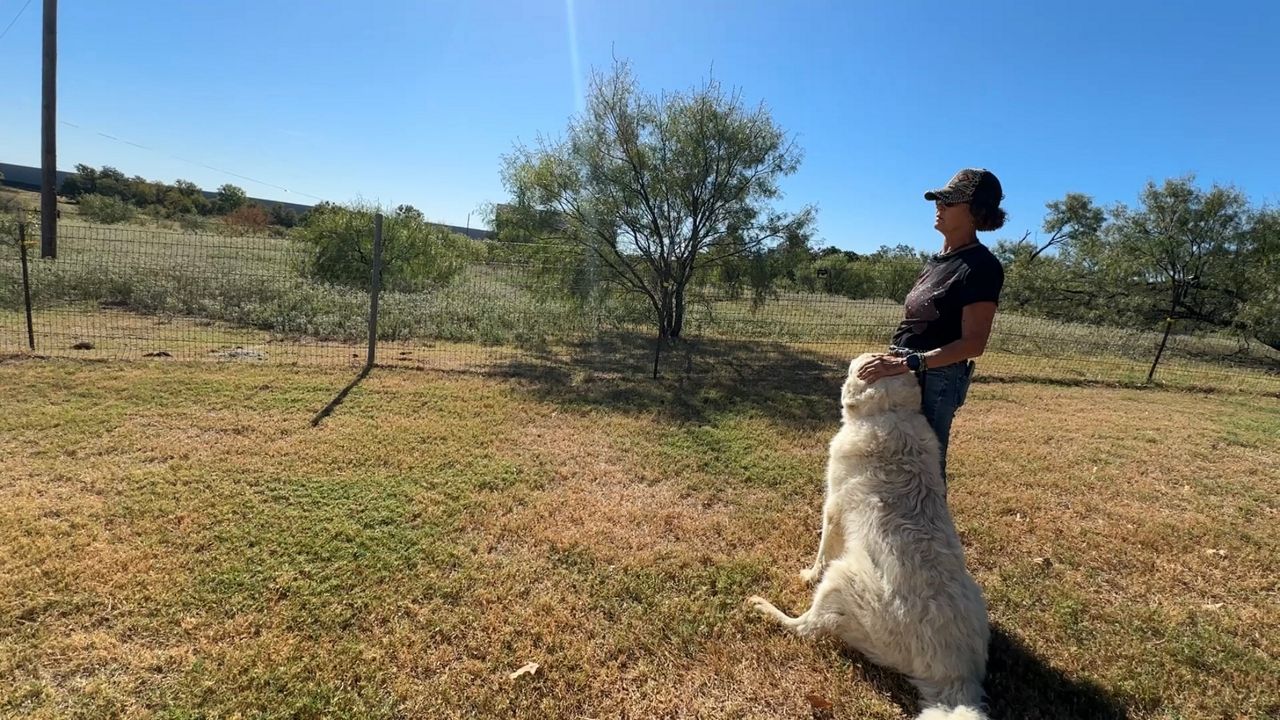 Texas community votes on new town due to crypto mining noise