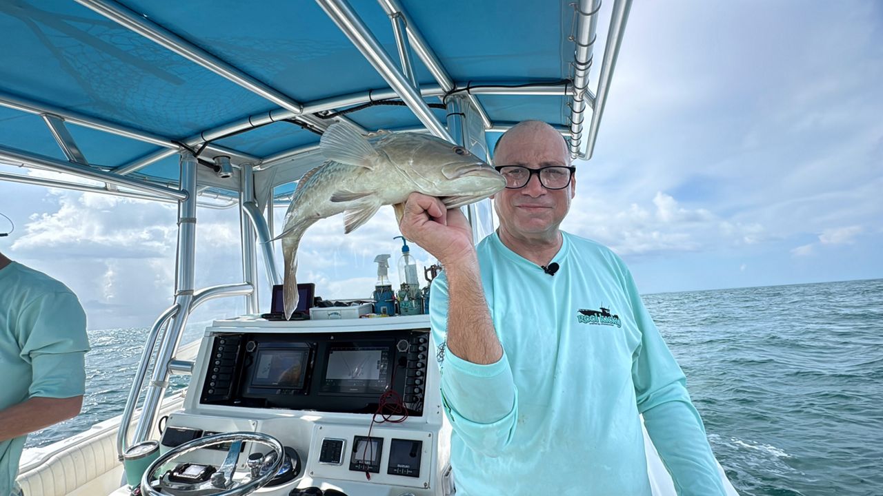 What the 30-day gag grouper season means for local fishermen