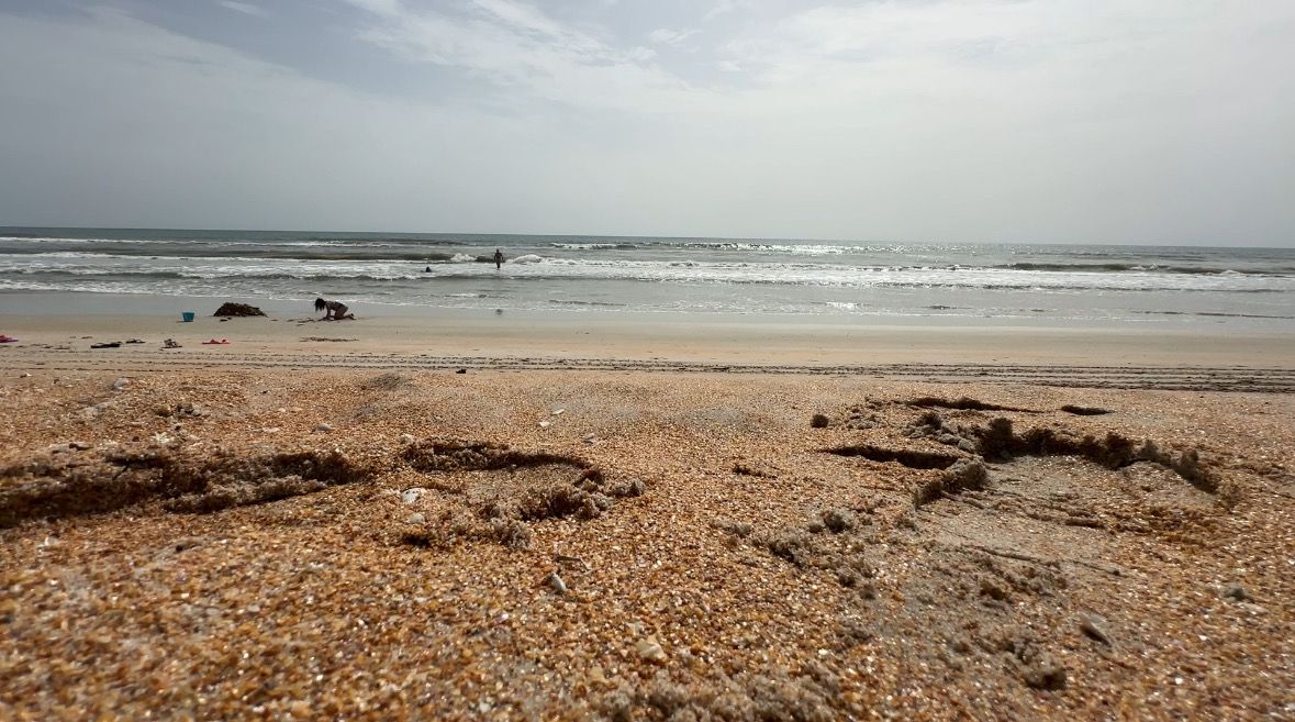 A quiet stretch of Flagler Beach where buried seawalls are being built to protect the coastline from erosion and future storms. (Spectrum News/Devin Martin)