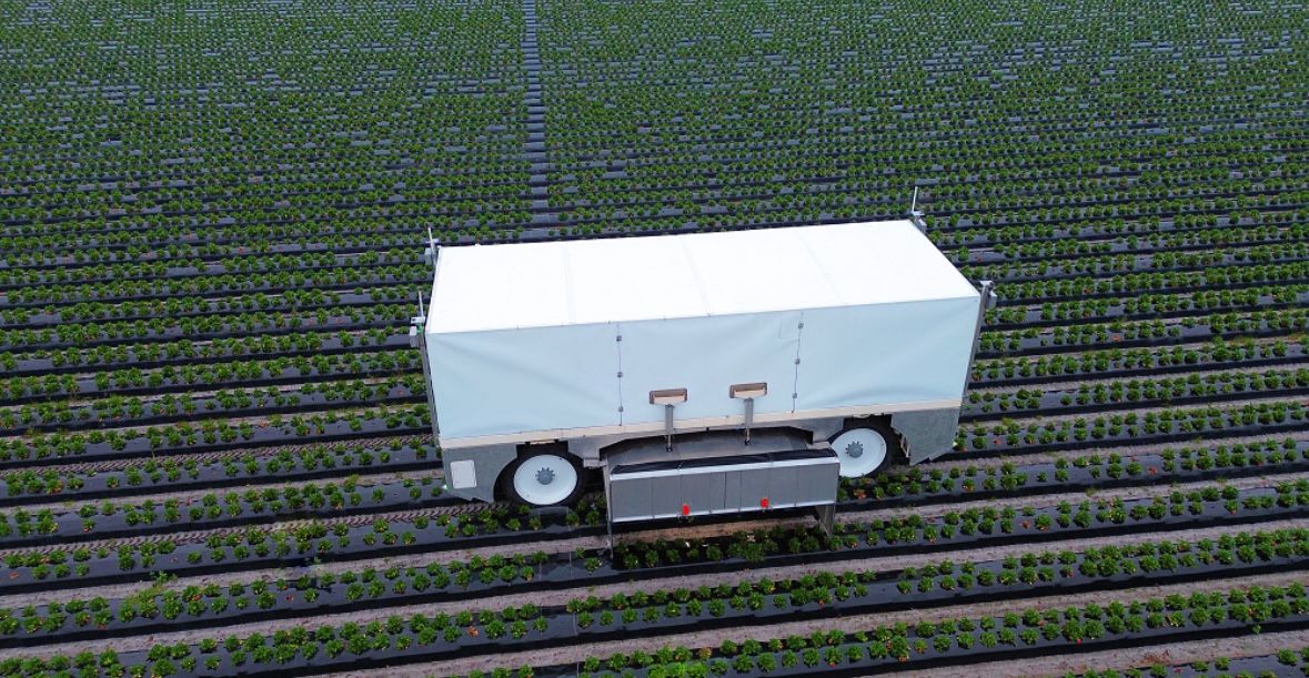 Harvest Croo's autonomous strawberry picker conducts a field trial on Wish Farms property. (Photo: Harvest Croo)