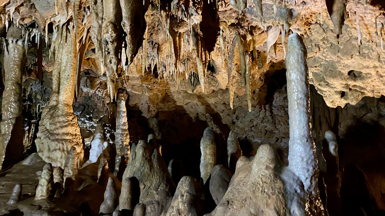 Many Florida caves few above states - IMG 2319
