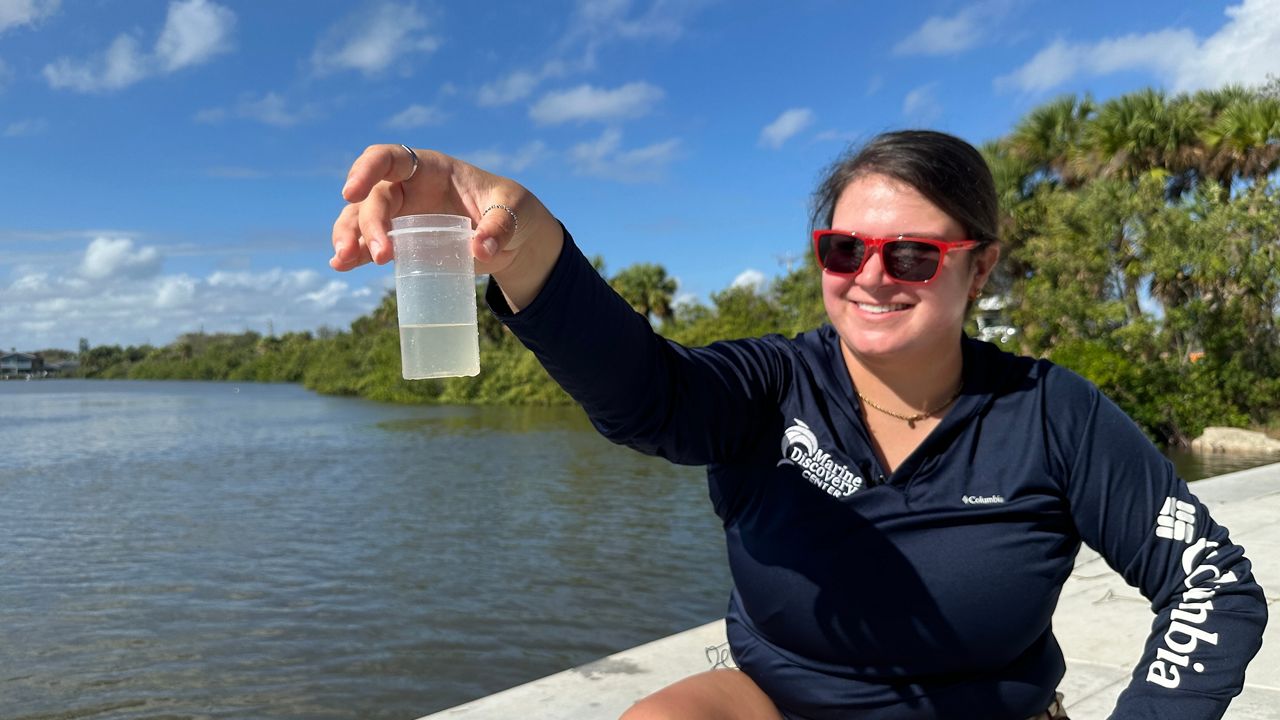 The photo shows a woman holding a small plastic container that is filled with cloudy water. In the background is the Indian River Lagoon, a large body of water near New Smyrna Beach. Education Coordinator Carley Metcalf holds up a plankton sample she collected from the Indian River Lagoon at the Marine Discovery Center in New Smyrna Beach (Spectrum News/Reagan Ryan).