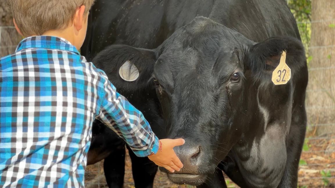 R&B Farms teaches their grandson about raising livestock.
