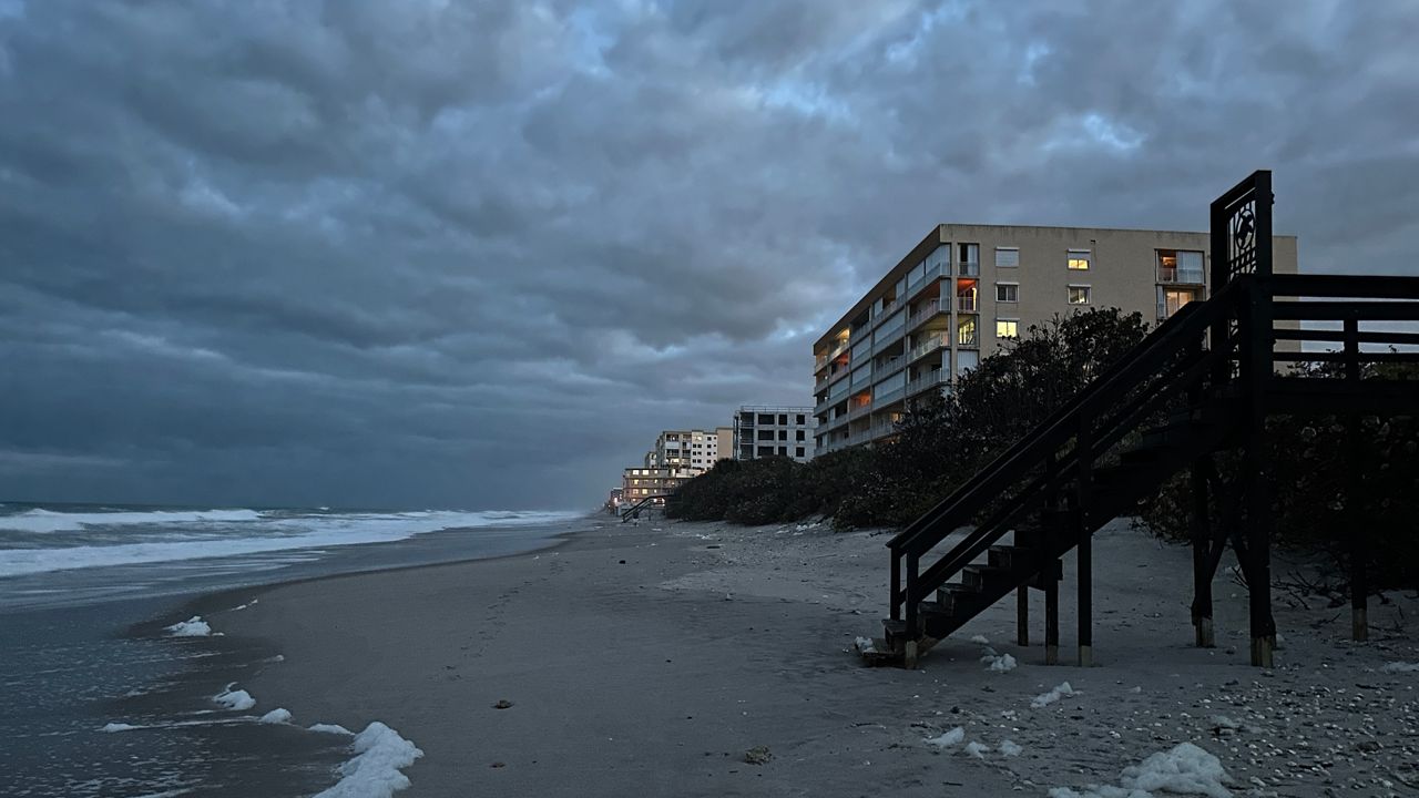 Sea turtle nesting season begins in Brevard County
