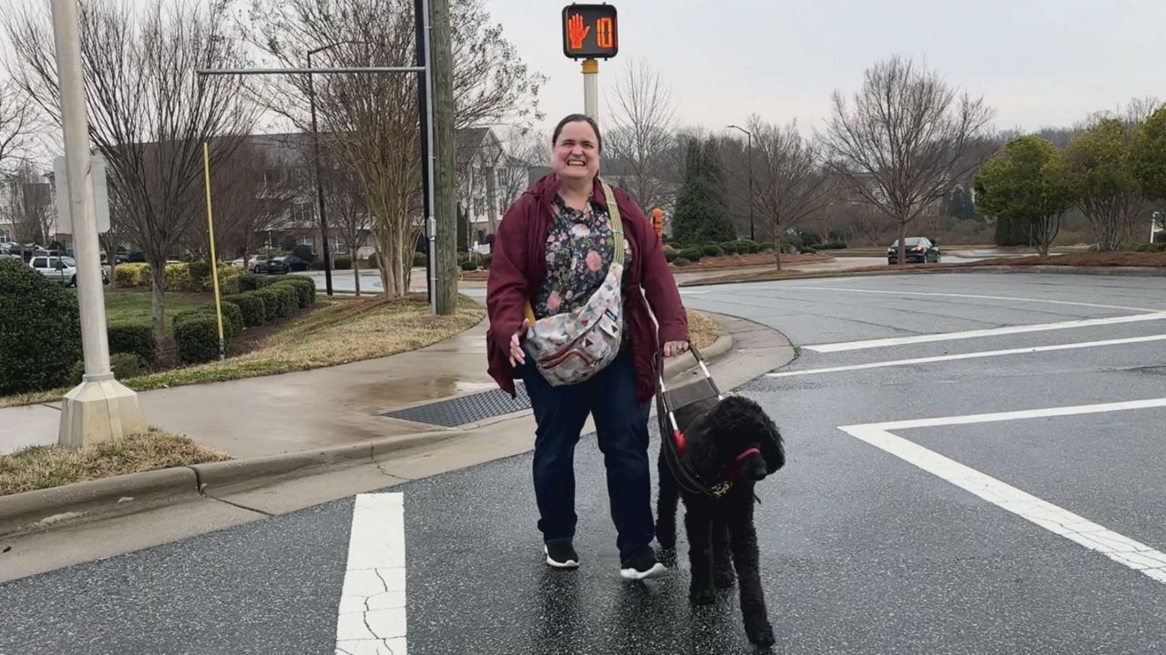 Low Vision Awareness Month: Importance of guide dogs