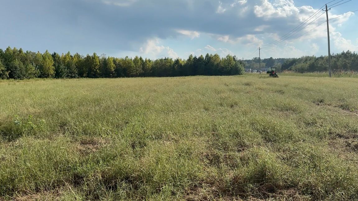 Through grant funding, the Spruills envision turning this 19-acre plot of land into an organic farm with fresh produce for their local community. (Spectrum News 1/Rachel Boyd)