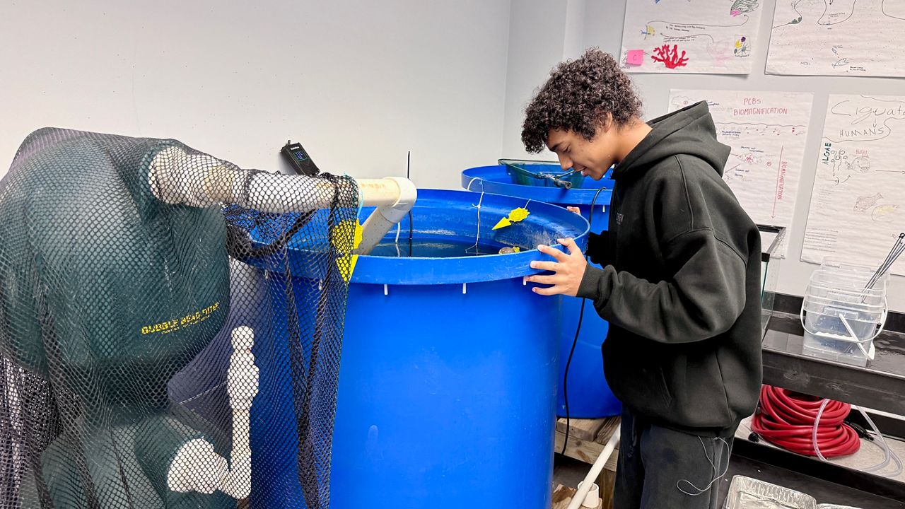 SPC expands marine science program with aquaculture labs