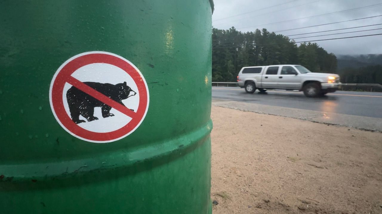 How can you protect against bear visits?