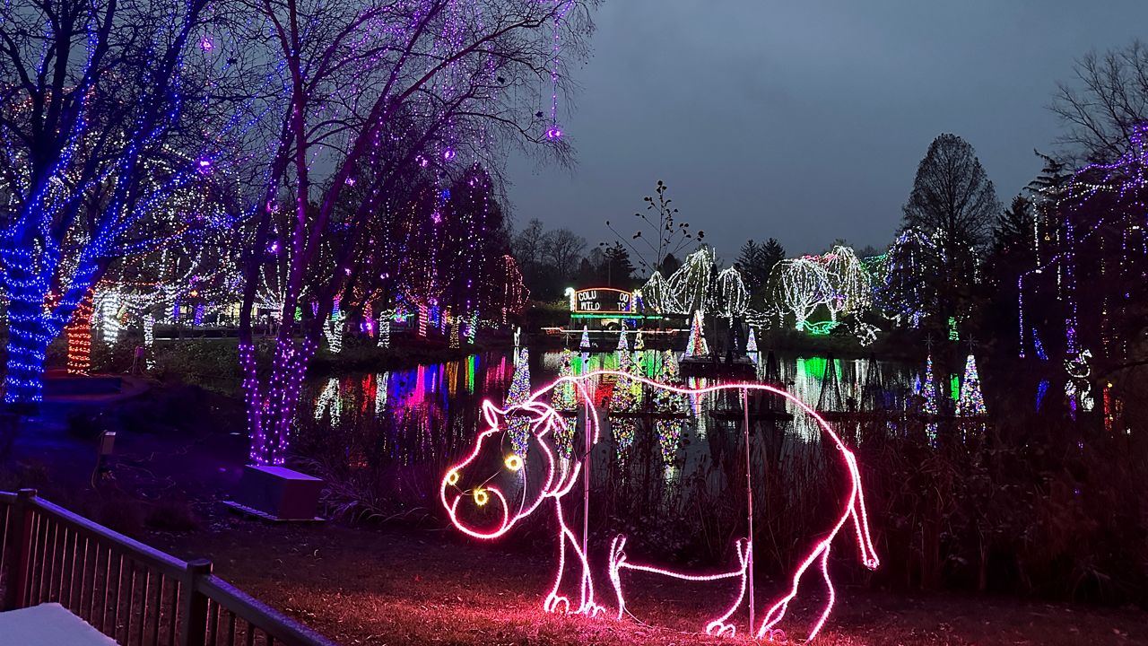 Annual event lights up Columbus Zoo