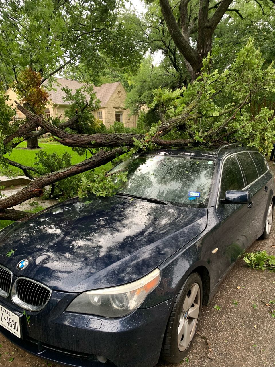 A tree is down on a BMW in the North Oak Cliff neighborhood in Dallas in this image from May 28, 2024. (Spectrum News 1/Brett Shipp)