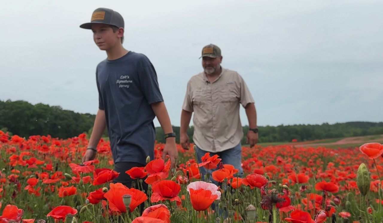 Colt and Chris Crump walking through poppies on their farm.