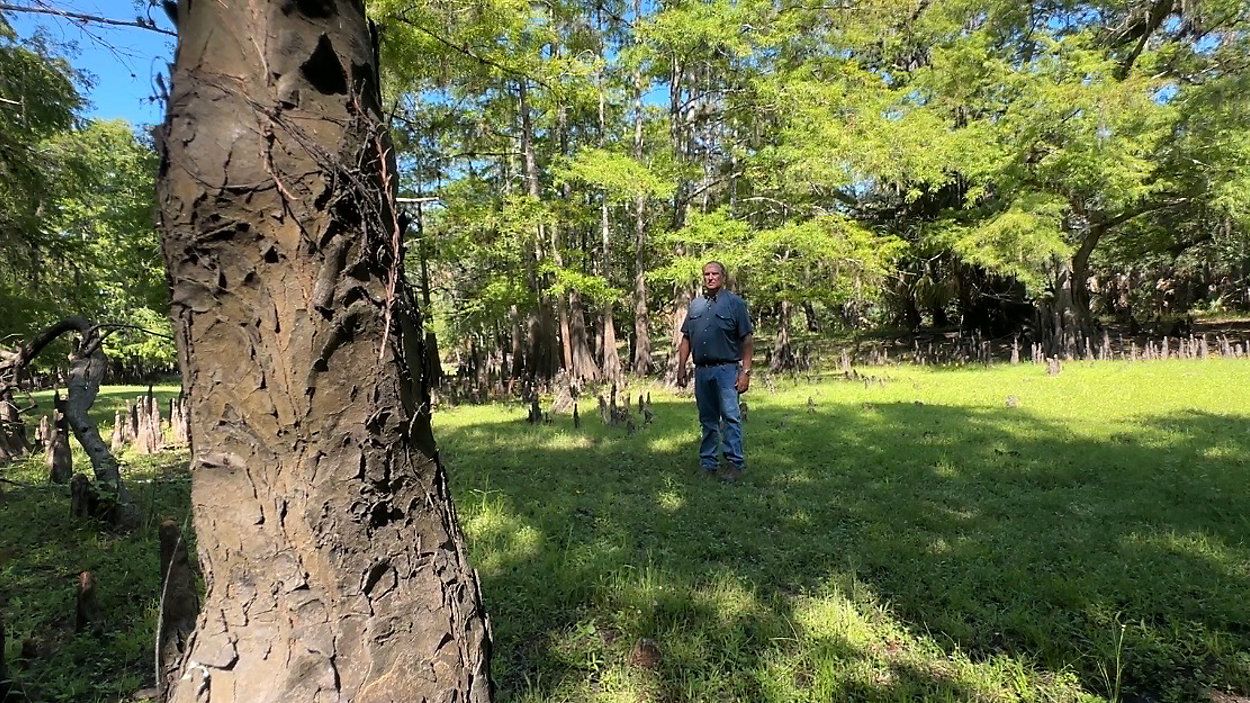 What Florida Forever funding decision means for land conservation