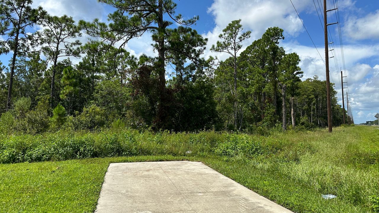 LPGA Boulevard in Daytona Beach Becoming a 