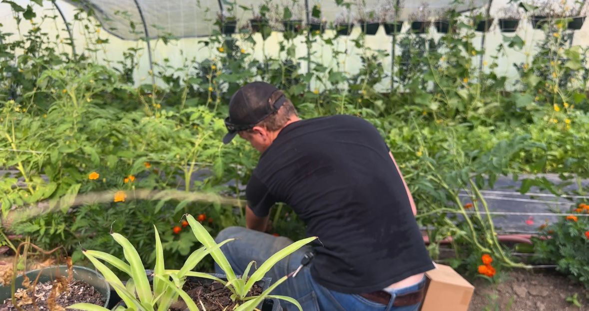 Zachary Rierson works in a greenhouse. (Spectrum News 1/Sydney McCoy)