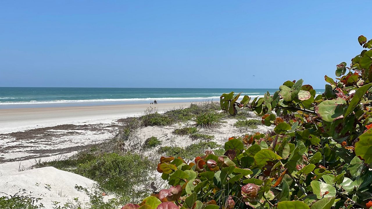 Dozens of Earth Day events, cleanups and celebrations are being held across Central Florida, including in Ponce Inlet. (Spectrum News/Reagan Ryan)