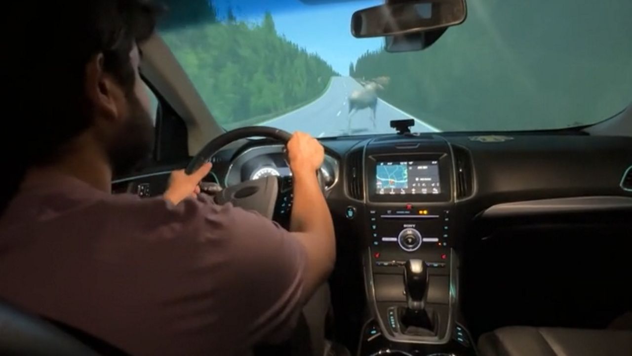 AI on the road: N.C. A&T students develop software to prevent cars from hitting animals