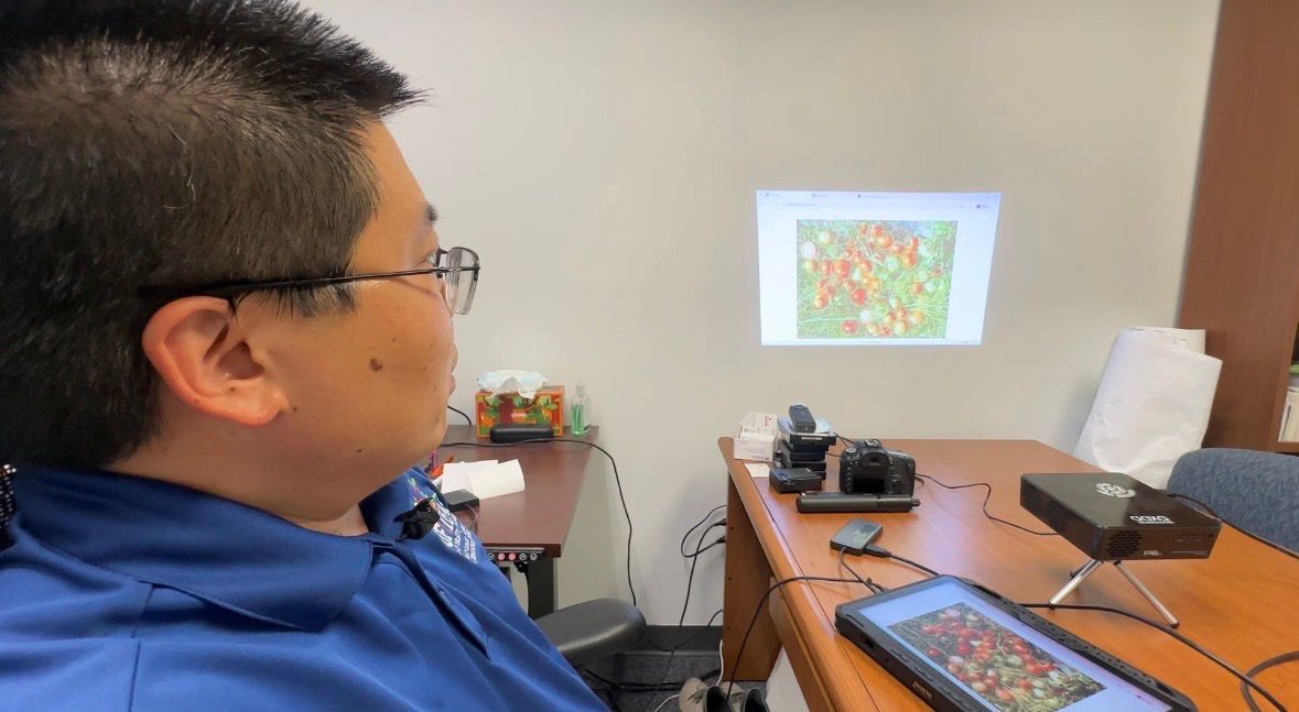 New web-based tool could help strawberry farmers with yield predictions