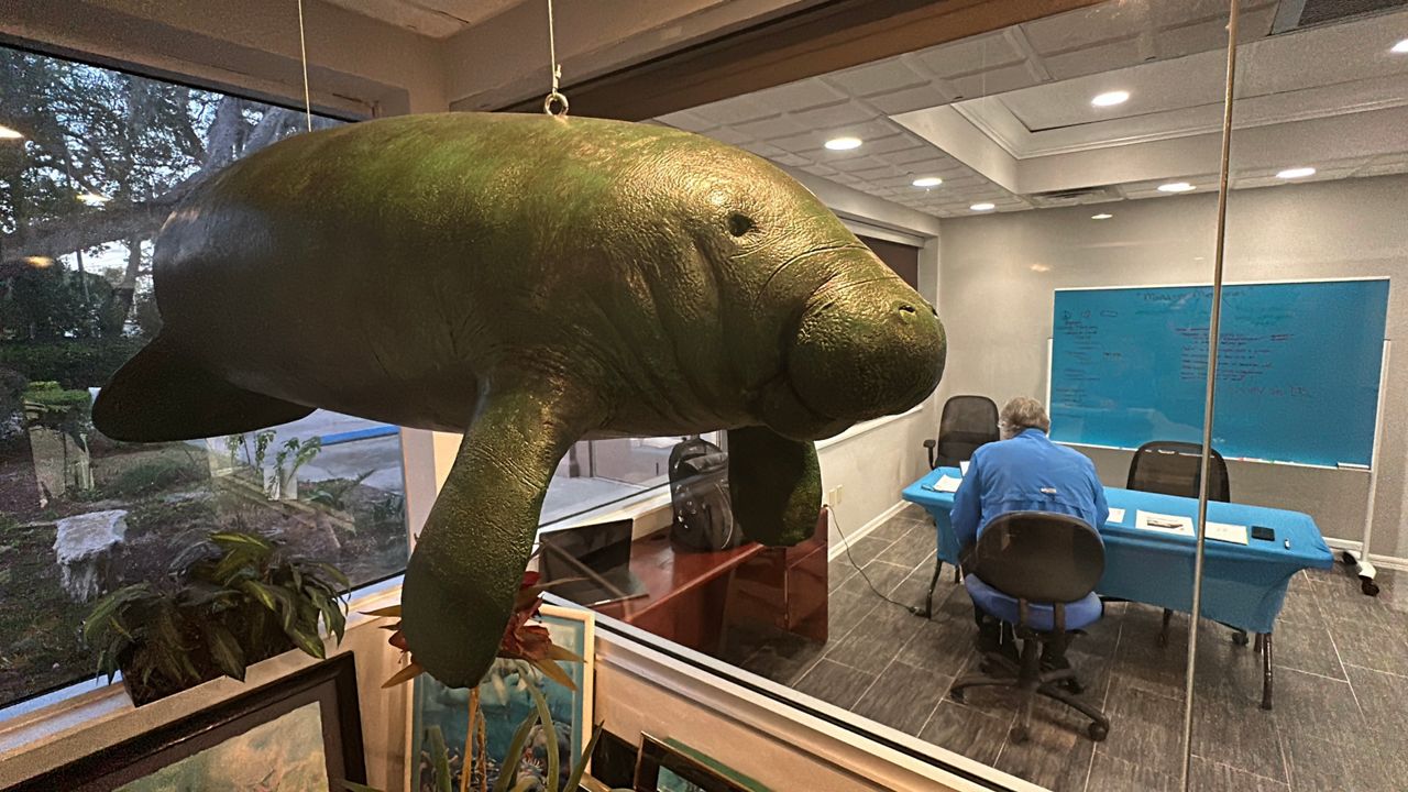 Spectrum News spoke with Patrick Rose, an aquatic biologist & executive director for Save The Manatee Club on Monday. (Spectrum News/Nick Allen)