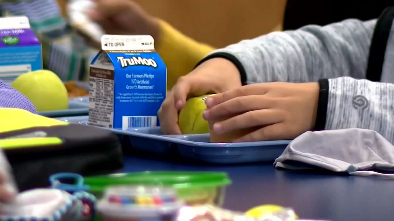 school lunch tray