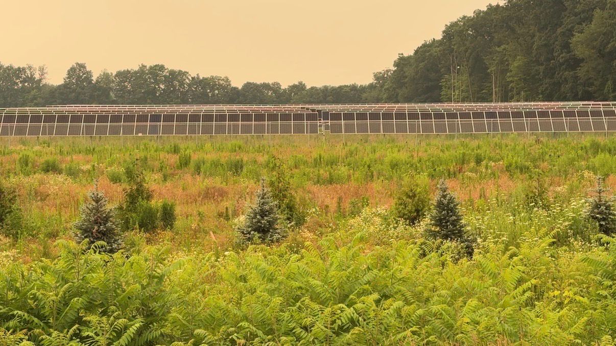 Solar farms sparking fear for the future of farming in New York