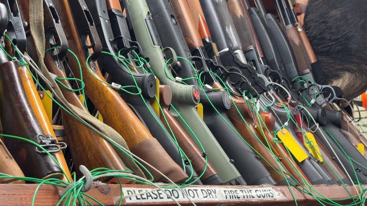 New York lawmakers announce gun safety actions in response to proposed federal rollbacks