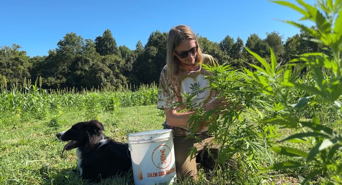 Allen Pickett tends to hemp plants on his farm with his dog Hugo. (Spectrum News 1/Sydney McCoy)