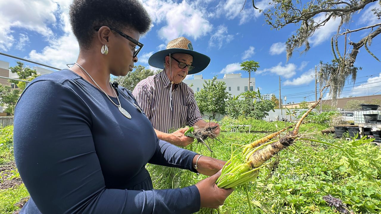 Stephanie Wynn at local farm, she launched a foundation dedicated to helping people with inflammatory bowel disease. (Spectrum News)