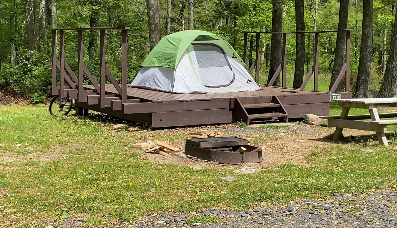 New York parks eye another record year as campers see value in nature