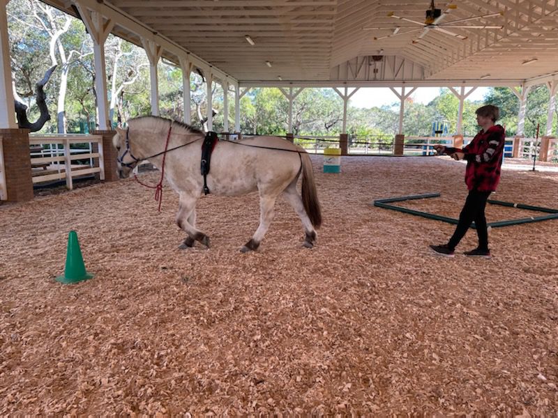 Tampa Bay's first recovery school nears one year mark