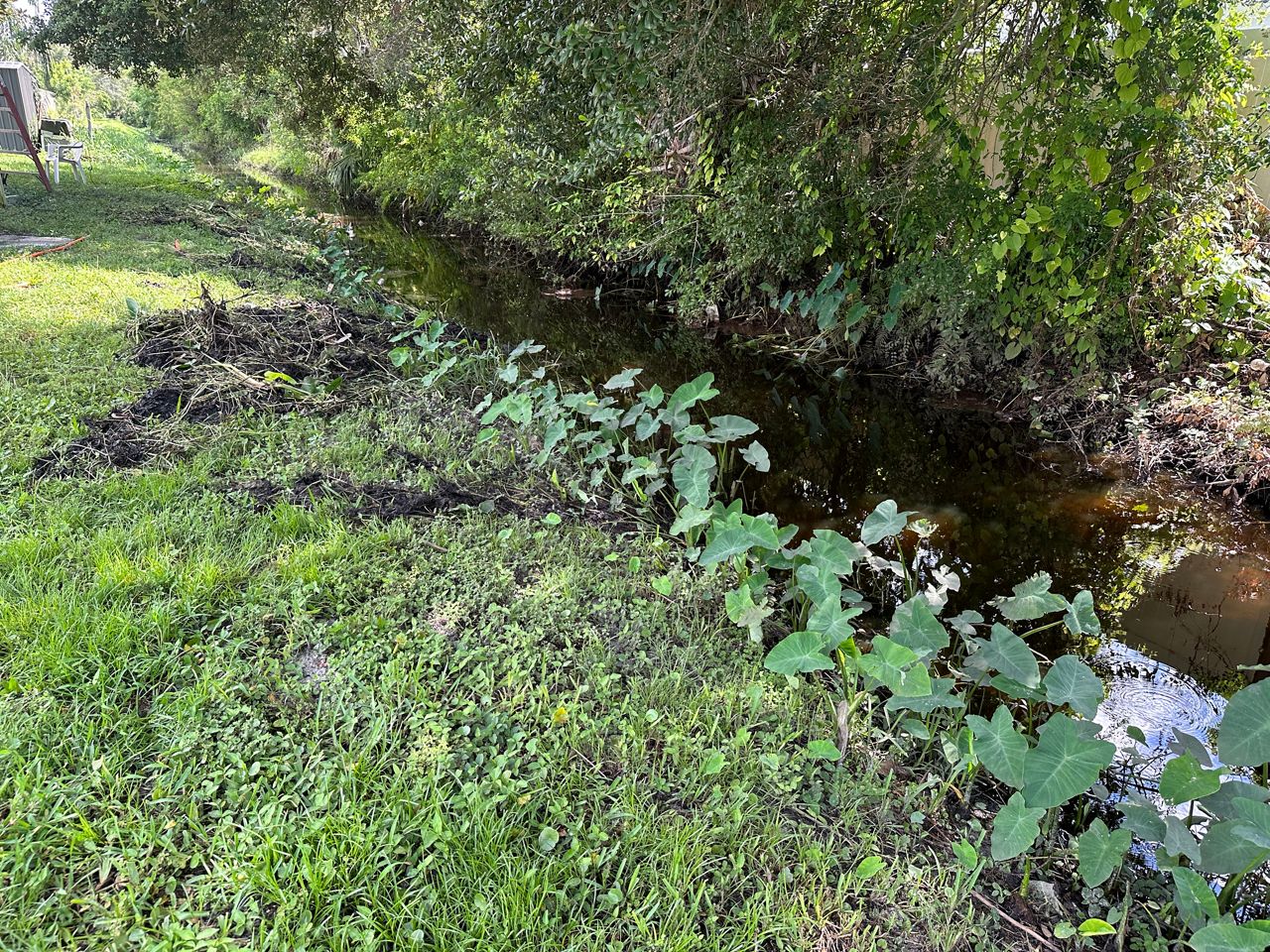 Residents on Dahlia Place say a debris-filled drainage ditch has caused flooding problems in their neighborhood for years. (Spectrum News/Sarah Blazonis)