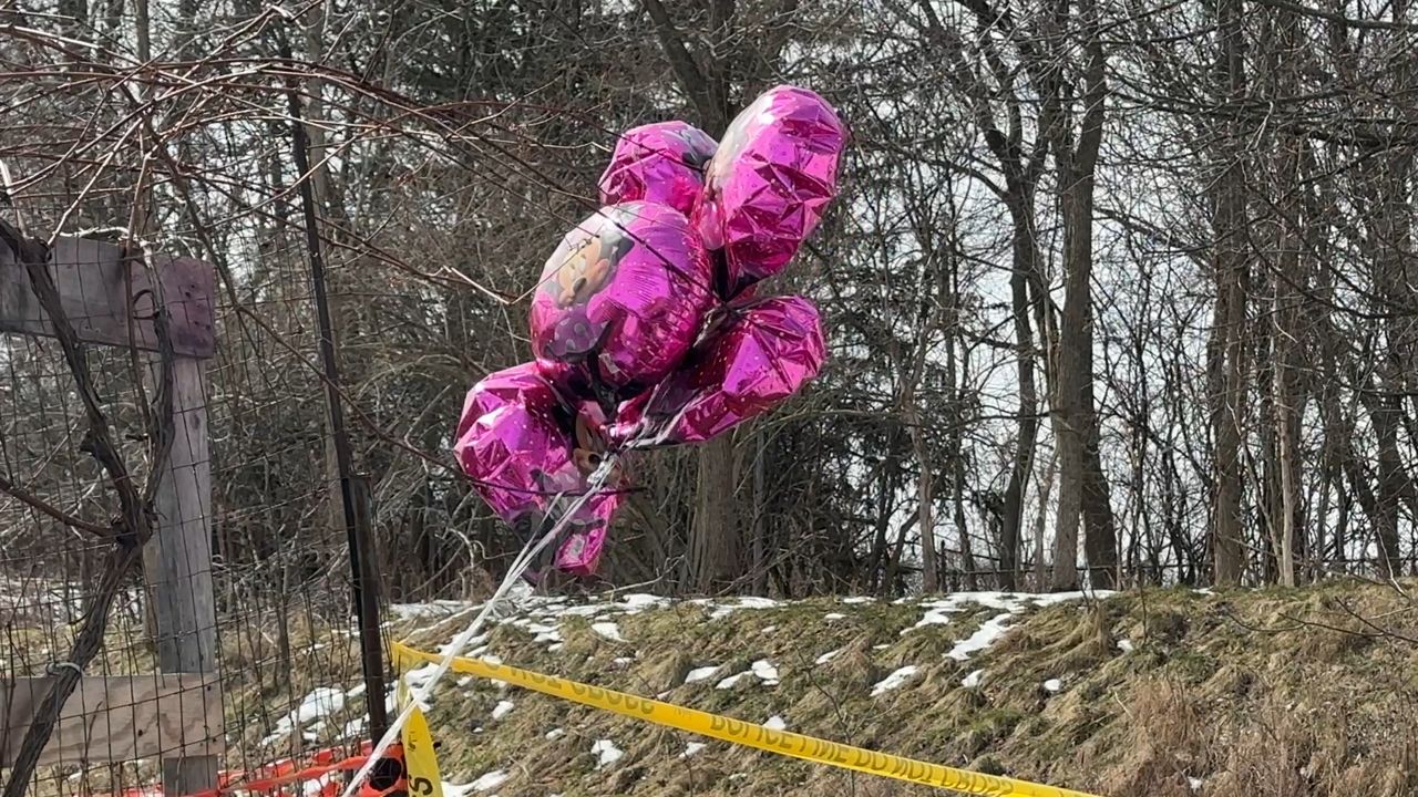 Ballons at the scene where Nefertiti Harris' remains where found