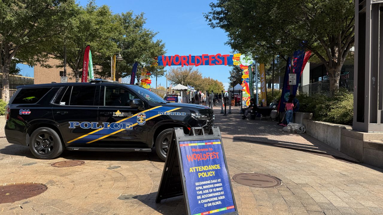 Fight at Worldfest raises safety concerns for future events