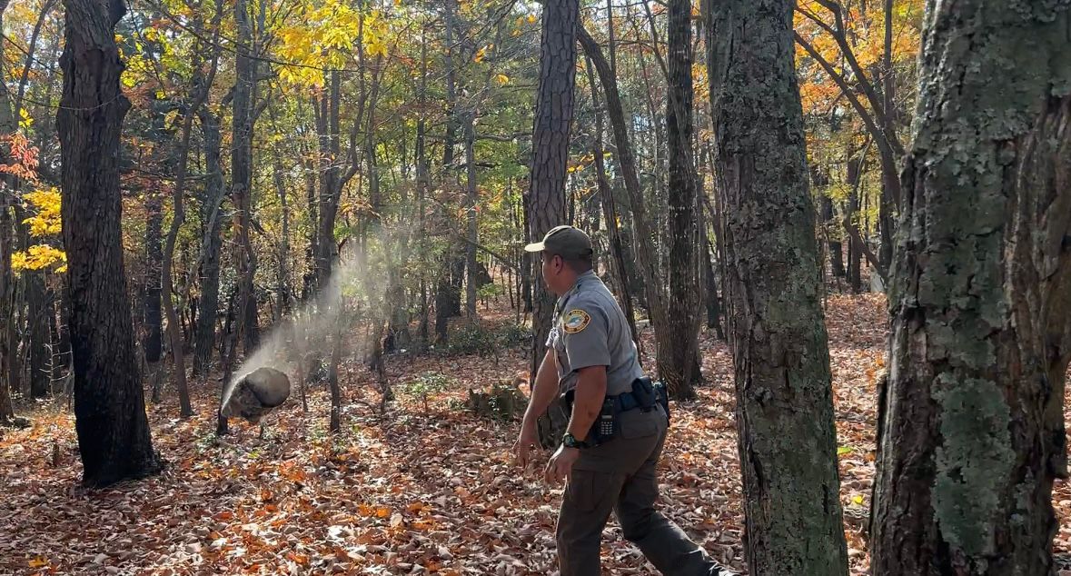 Park Ranger Jacob Fields throwing an ashy log someone tried to burn. (Spectrum News 1/Sydney McCoy)