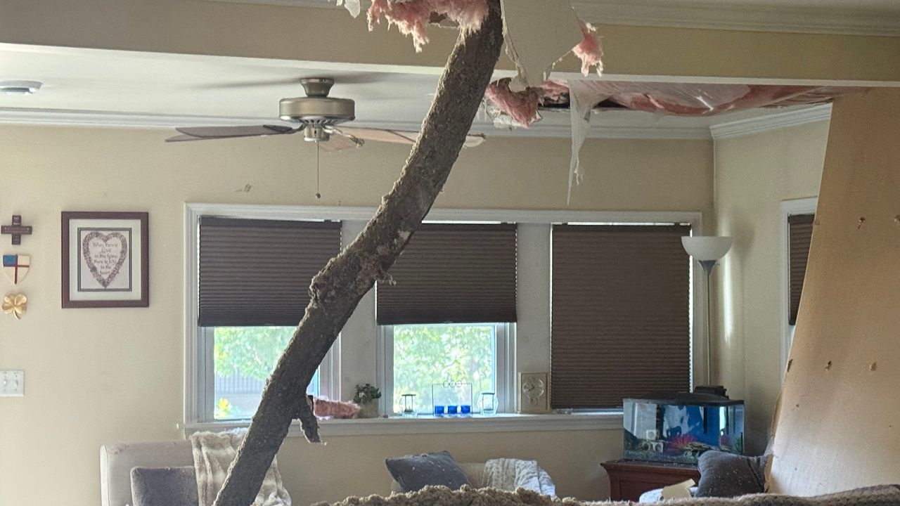 Neighbors clean up after powerful storms in Town of Geneva