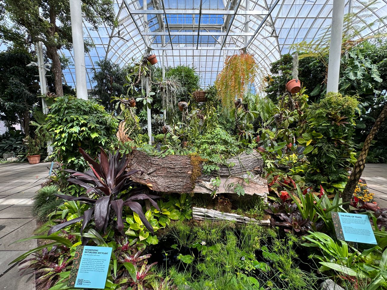 'Wonderland' exhibition opens at New York Botanical Garden