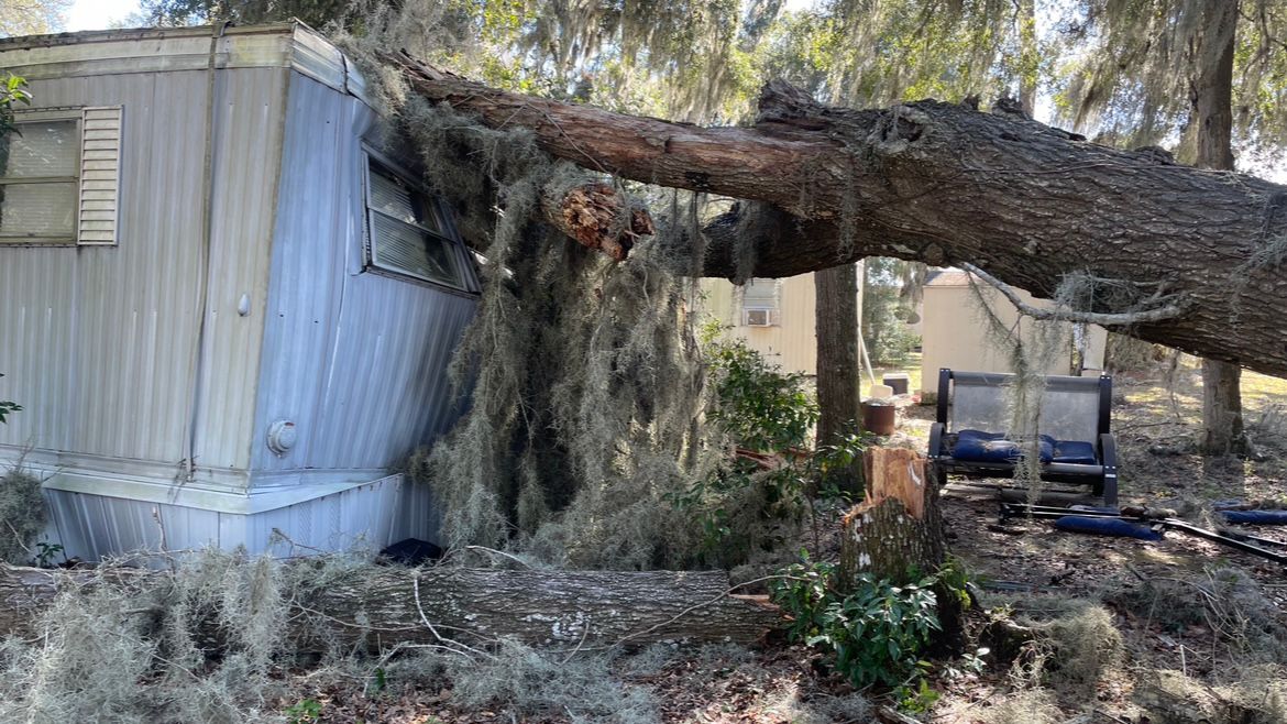 Marion County family faces hardship after tree falls on home
