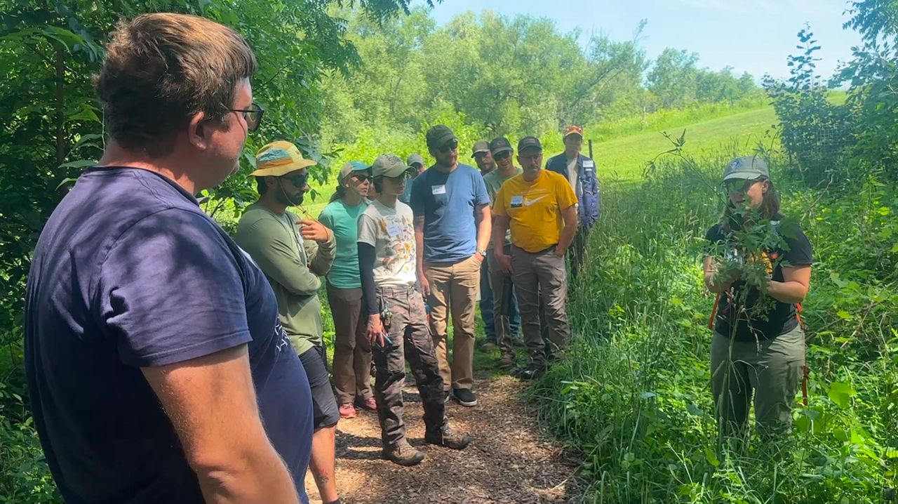 Field training held to help identify newer invasive species in Wisconsin